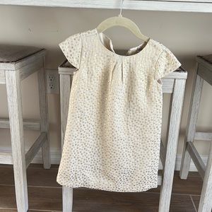 Baby Gap Toddler girl dress